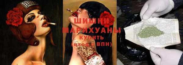 прущие грибы Лагань