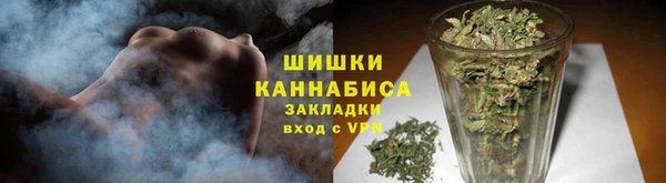 шишки Ладушкин