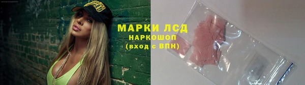 прущие грибы Лагань