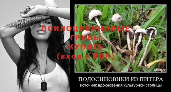 гашик Лабытнанги