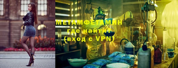 прущие грибы Лагань