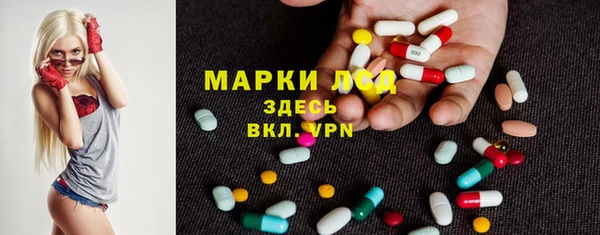 прущие грибы Лагань