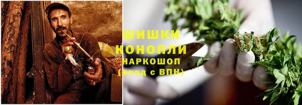 шишки Ладушкин