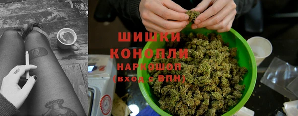 шишки Ладушкин