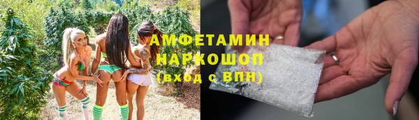шишки Ладушкин