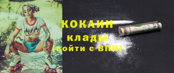 прущие грибы Лагань
